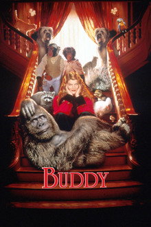 Buddy