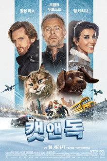 캣 앤 독