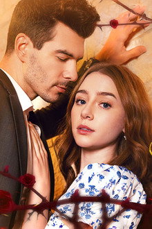 The Mafia Boss' Secret Maid