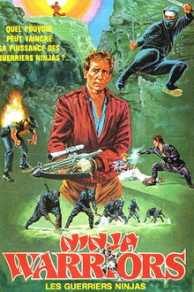 Ninja Warriors