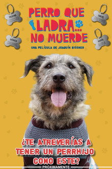 Perro Que Ladra... No Muerde