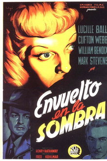 Envuelto en la sombra