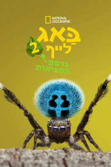 עונה 2