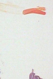The Flying Man