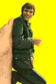 Paddy