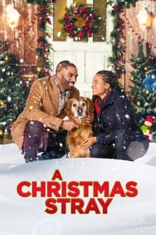 A Christmas Stray movie poster