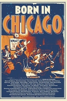 Poster do filme Born In Chicago