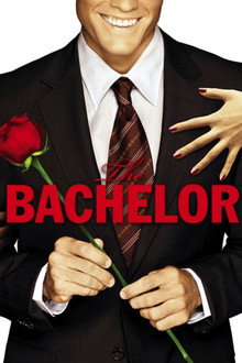 Saison 14
