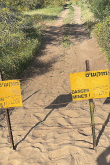 ציר 25