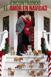 Encontrando el amor en Navidad