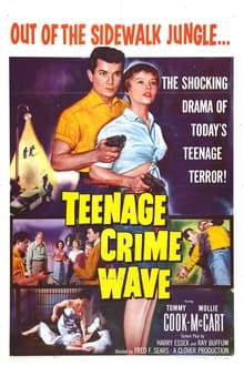 Poster do filme Teen-Age Crime Wave