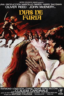 Días de furia