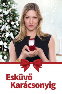 Esküvő karácsonyig