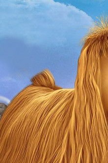 Dogão-Amigo-pra-Cachorro