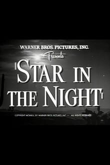 Poster do filme Star in the Night