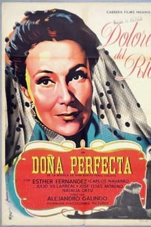 Poster do filme Doña Perfecta