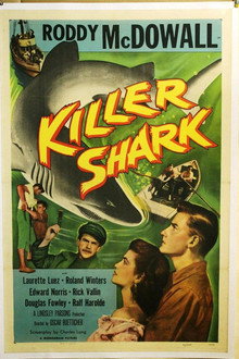 Killer Shark