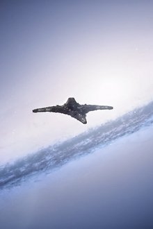 Stargate-Universe