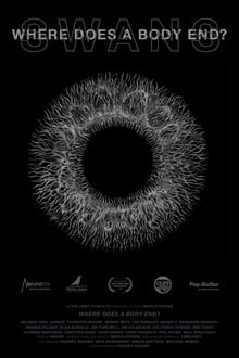 Rascunho automático