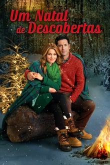 Poster do filme Um Natal de Descobertas