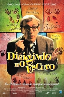 Poster do filme Dirigindo no Escuro