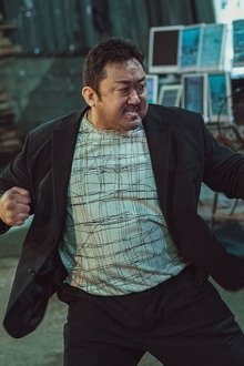 The-Roundup