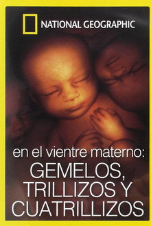 En el vientre materno: Gemelos, trillizos y cuatrillizos