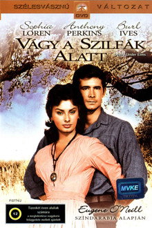 Vágy a szilfák alatt