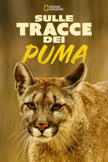 Man Vs. Puma