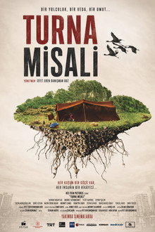 Turna Misali