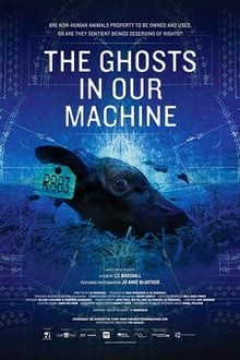 Poster do filme The Ghosts in Our Machine