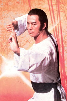 洪拳大師