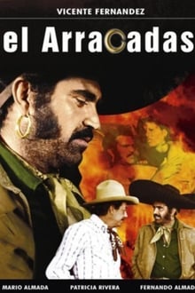 Poster do filme El Arracadas