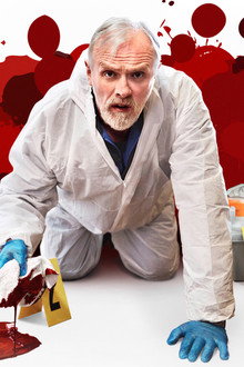 The Cleaner