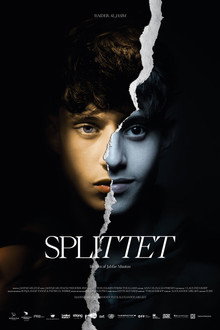 Splittrad