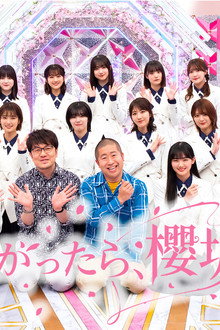 そこ曲がったら、櫻坂？