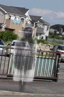 怪奇動画