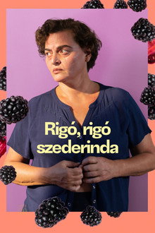 Rigó, rigó, szederinda