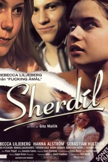 Poster do filme Sherdil