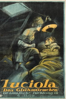 Lucciola