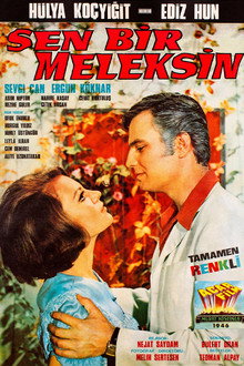 Sen Bir Meleksin