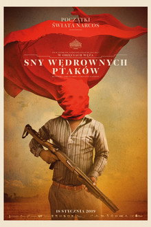 Sny wędrownych ptaków