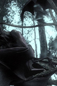 Bats: Human Harvest