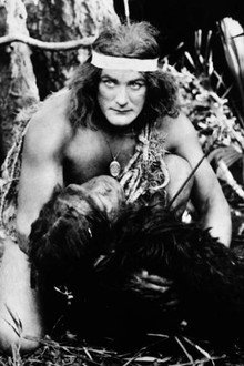 Tarzan chez les singes