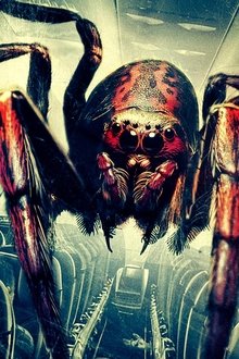 Spiders-on-a-Plane