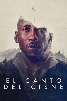 El canto del cisne