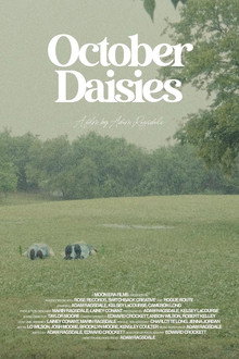 October Daisies