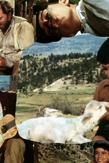 El ruiseñor de las cumbres