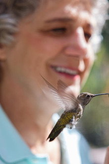 Hummingbirds of Hollywood