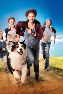Fünf-Freunde-2